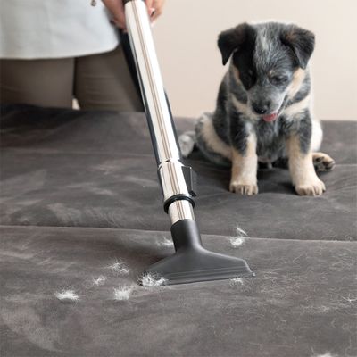 Imagen 2 del producto Aspiradora VCL 3 Ciclonica