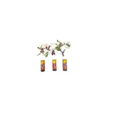 GENERICO - LANZA CONFETI PARA FIESTA