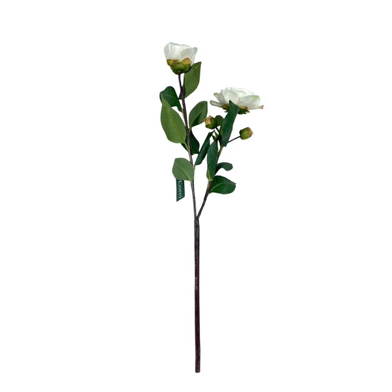 COREL - Camelia Blanca 52cm