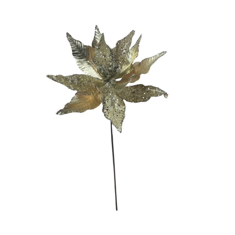COREL - Poinsettia Champagne 30cm