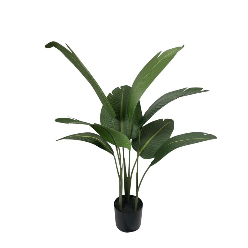 COREL - Ave Del Paraiso Strelitzia 90cm