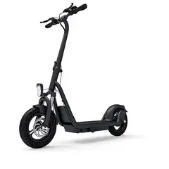 GENERICO - SCOOTER ELECTRICO TOMOLOO F2
