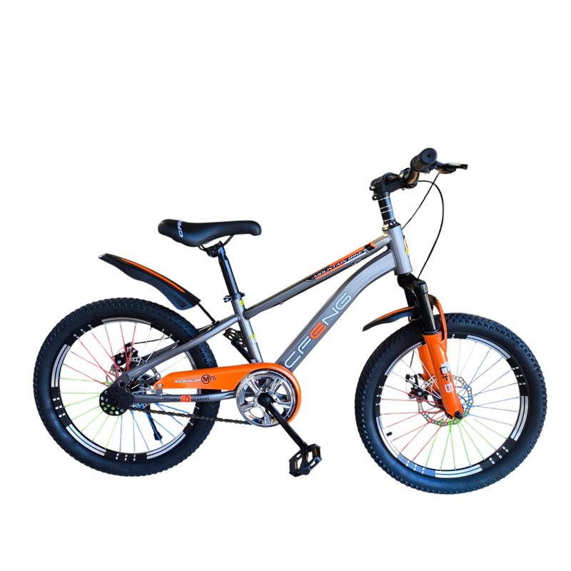 GENERICO - Bicicleta Aro 20  Cfeng Con Freno Disco Gris