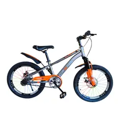 GENERICO - Bicicleta Aro 20 Cfeng Con Freno Disco Gris