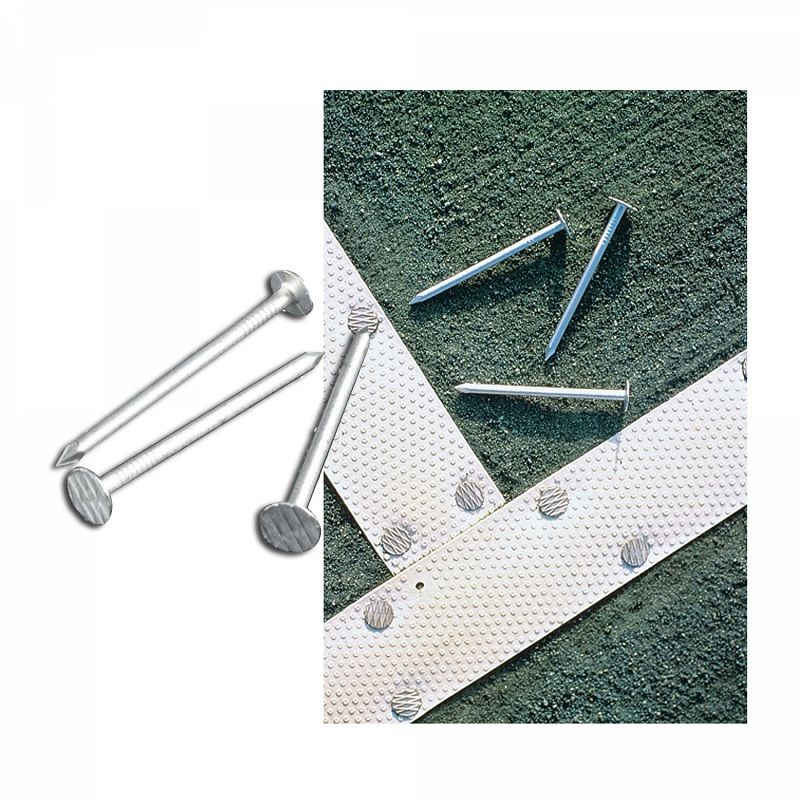 GENERICO - CLAVOS DE ALUMINIO USA  DE 2 1/2  X 1 KG.