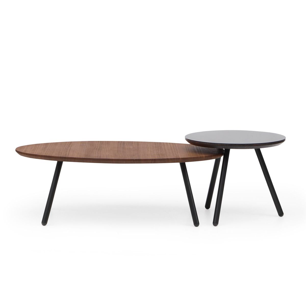 MEDULAR - Mesa de centro Aula nogal