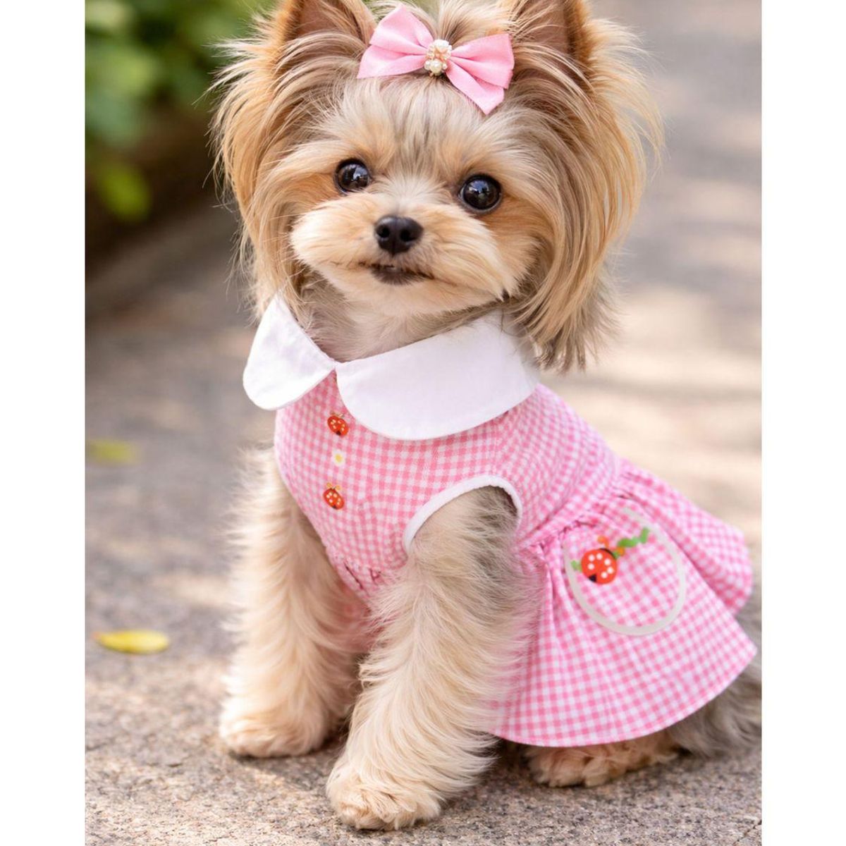 Ropa Vestido Para Perros Pequeños Tipo Yorkie o Dachshund - Rosa - S, marca GENERICO - Foto 2