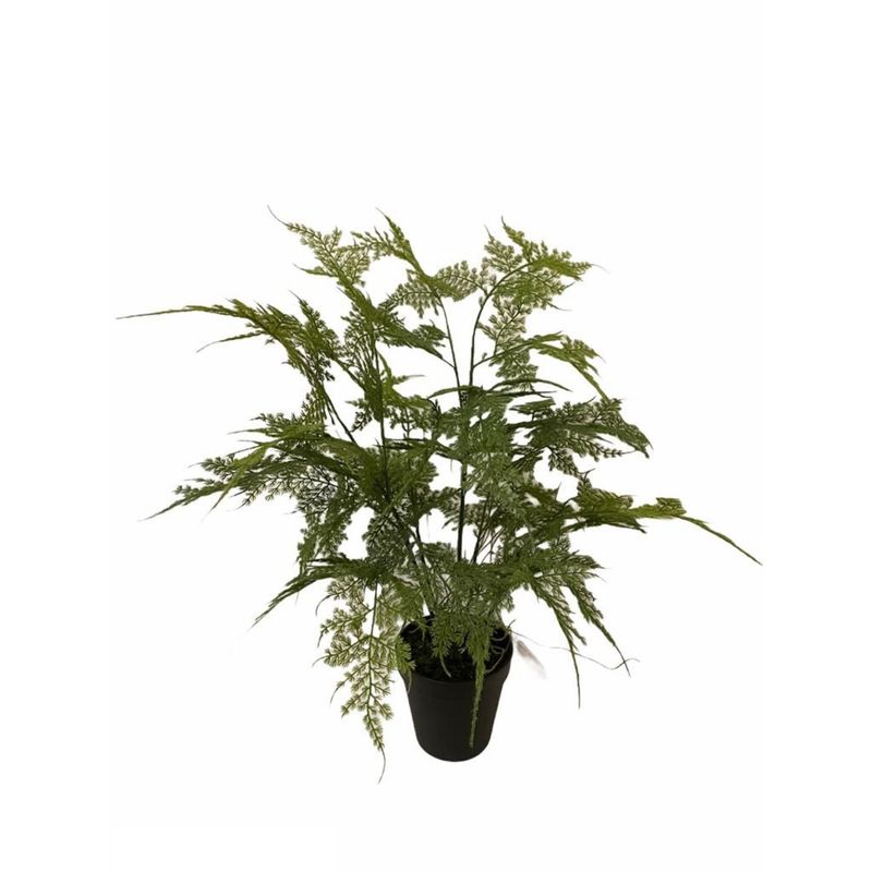 COREL - Helecho Esparagus 46cm Artificial