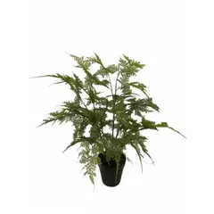 COREL - Helecho Esparagus 46cm Artificial