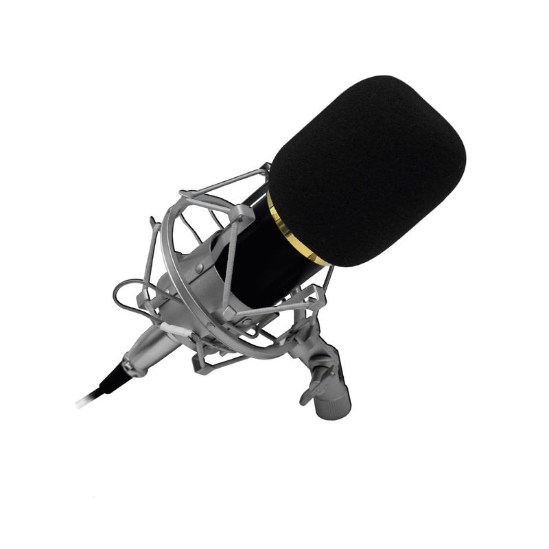 AUDIO PRO - Microfono Condensador Profesional