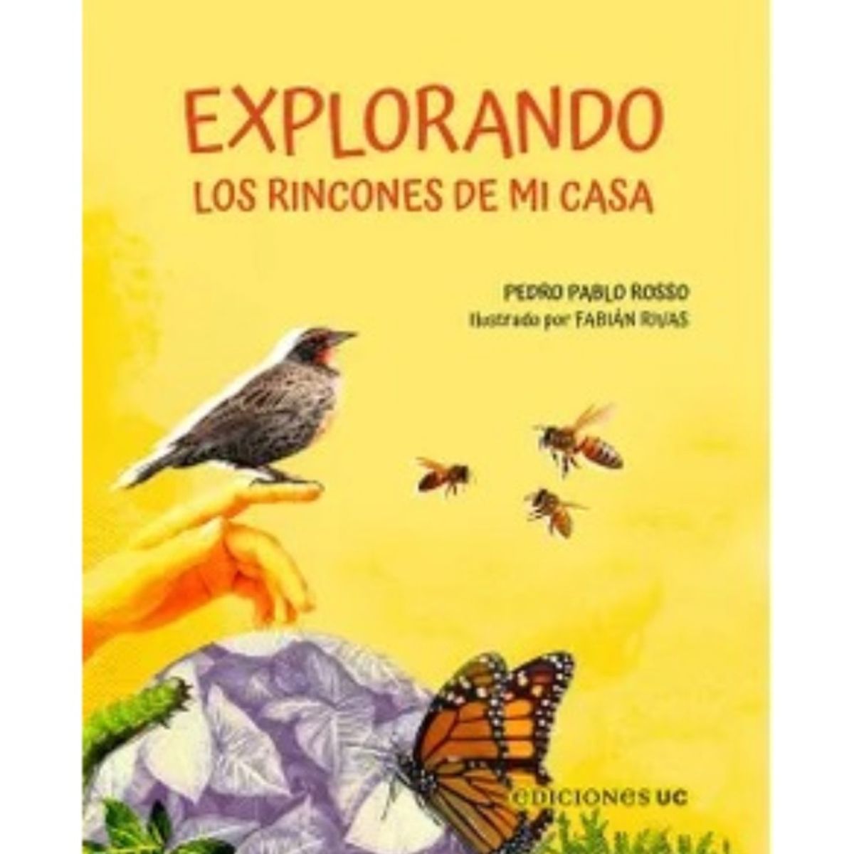 TOP10BOOKS - LIBRO Explorando Los Rincones De Mi Casa - Explorando Los Rincones De Mi Casa