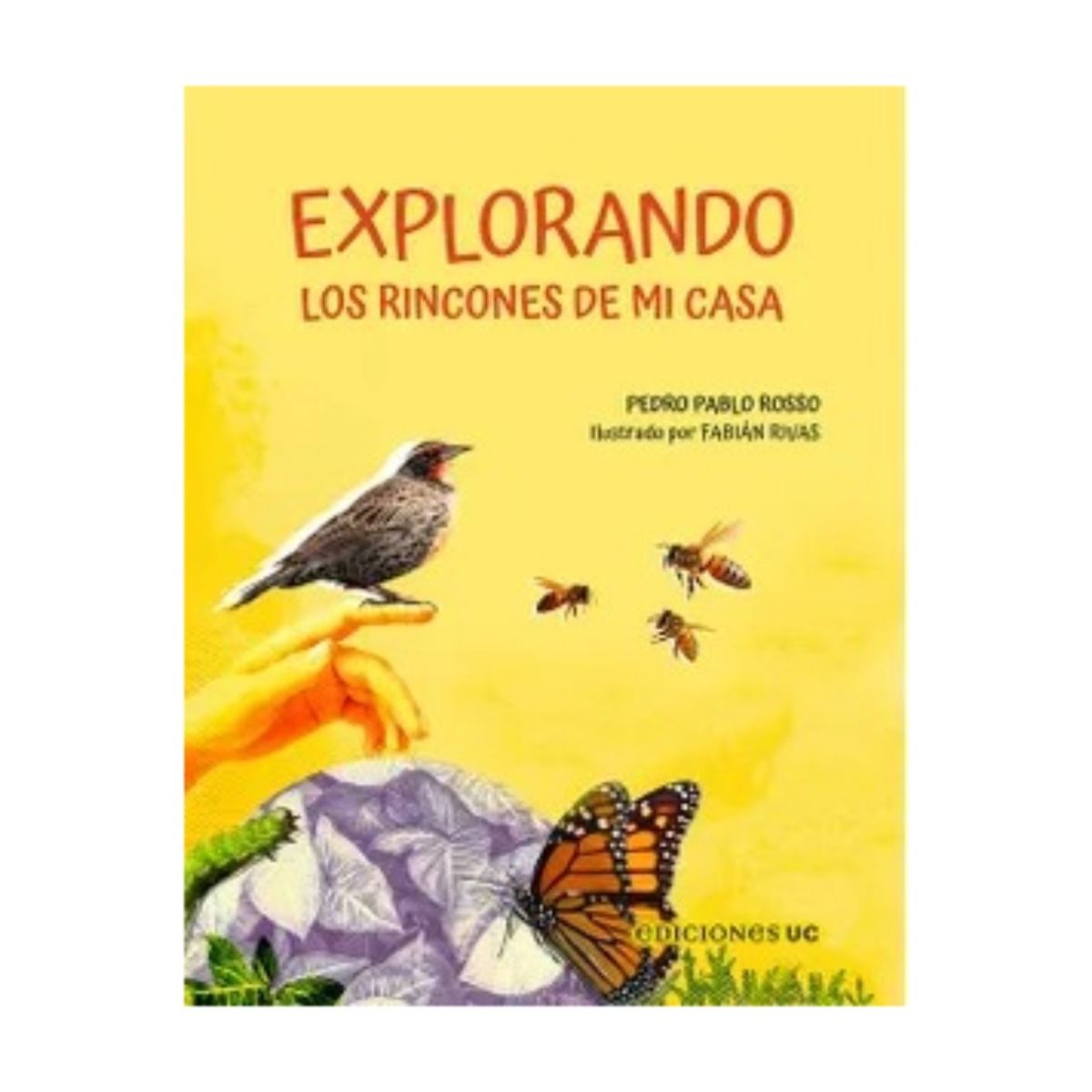 TOP10BOOKS - LIBRO Explorando Los Rincones De Mi Casa - Explorando Los Rincones De Mi Casa