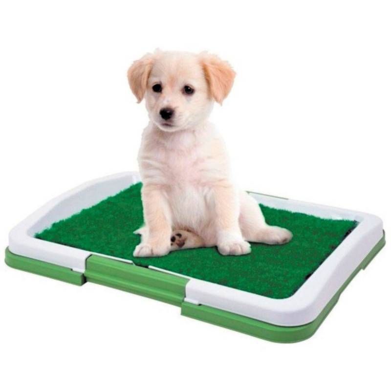 GENERICO - Baño Para Perros Y Gatos Ecológico Mascota 3 Niveles 47x34cm