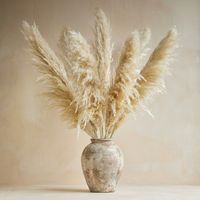 Ramo de 10 Pampas Secas Decorativas XL Cola de Zorro