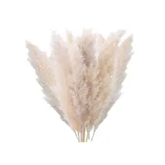SANTU HOME & DECO - Ramo 10 Pampas Flores Secas Cola Zorro
