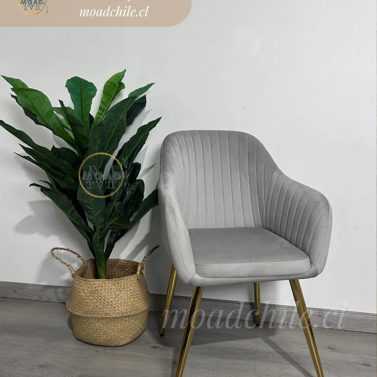 GENERICO - Pack de 2 Sitiales Nieves terciopelo Gris patas doradas