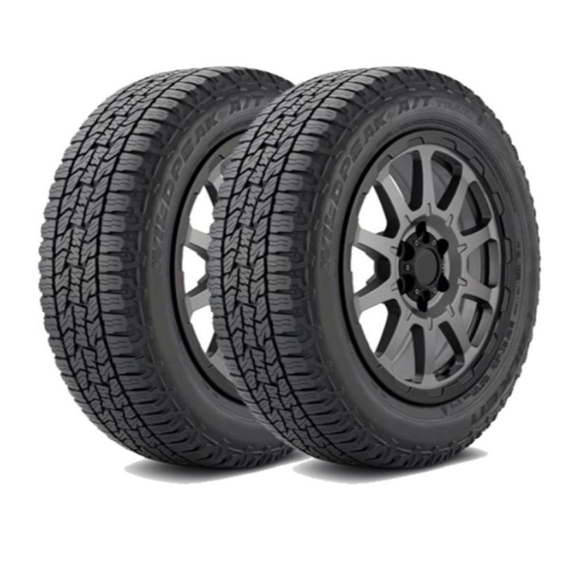 FALKEN - Set 2 Neumáticos - 225/55r18 Falken Wpattr At 98v Th