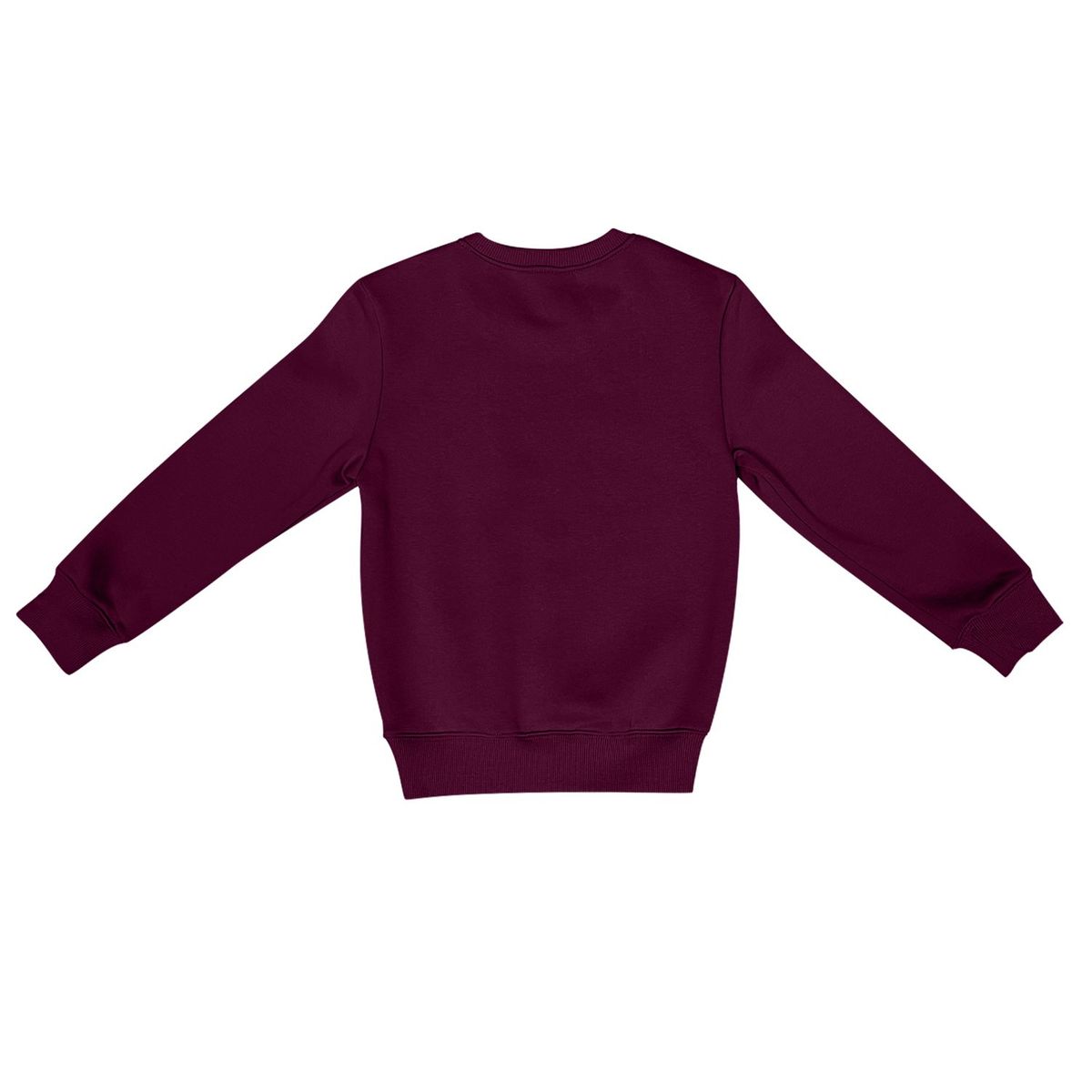 ANDESLAND OUTDOOR APPAREL - Polerón Polo Vulpes Niño