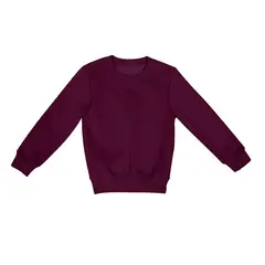 ANDESLAND OUTDOOR APPAREL - Polerón Polo Vulpes Niño