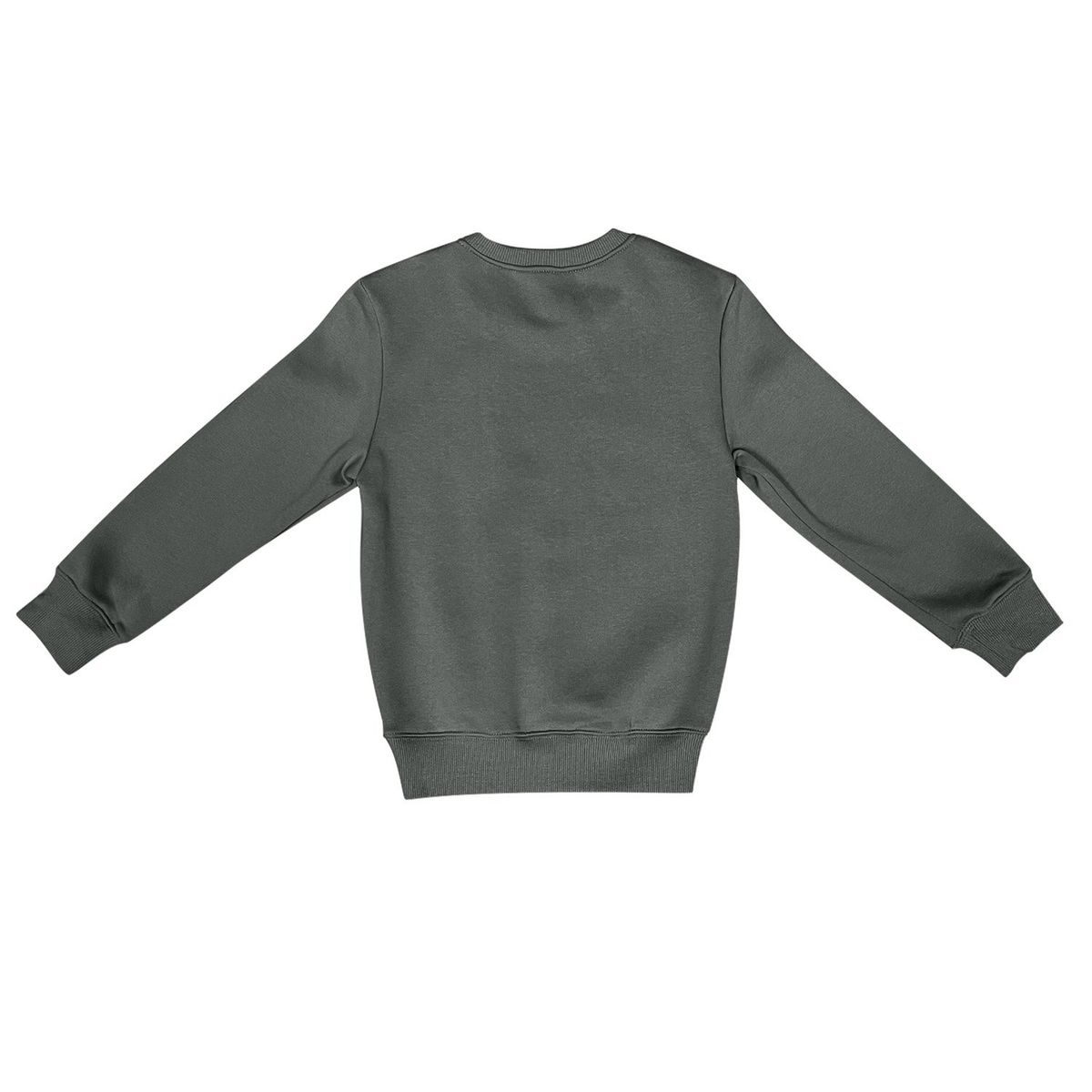 ANDESLAND OUTDOOR APPAREL - Polerón Polo Vulpes Niño