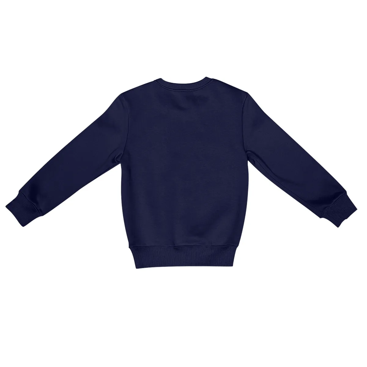 ANDESLAND OUTDOOR APPAREL - Polerón Polo Vulpes Niño