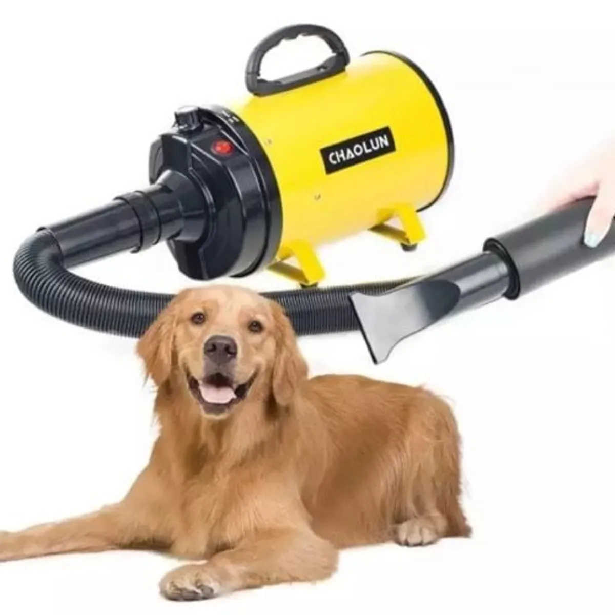 GENERICO - SECADOR DE PELO PARA PERROS TURBINA PELUQUERIA CANINA