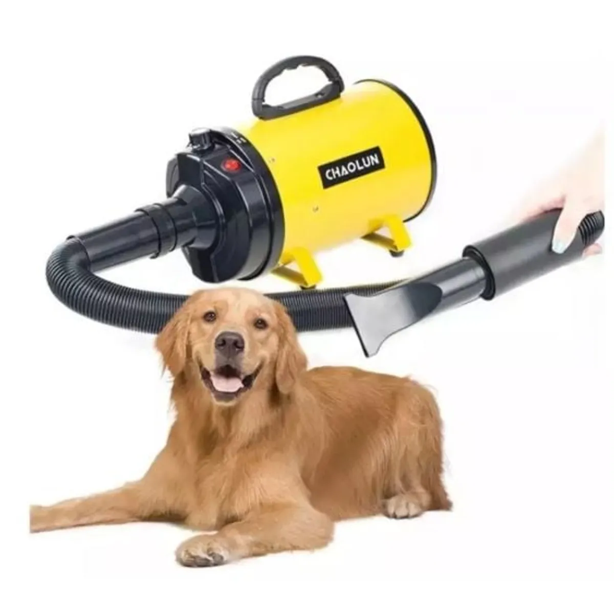 GENERICO - SECADOR DE PELO PARA PERROS TURBINA PELUQUERIA CANINA