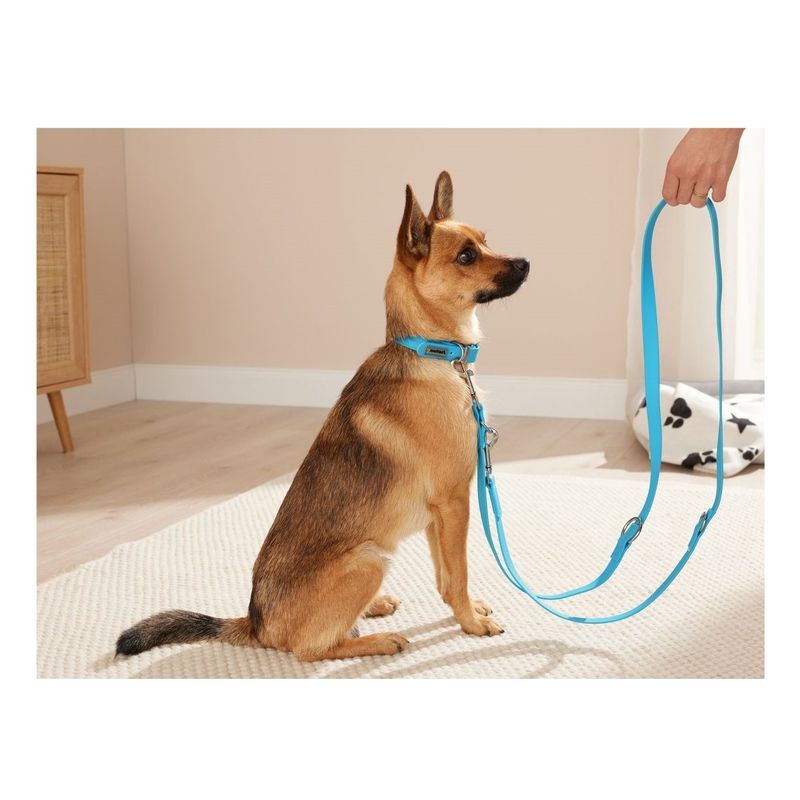GENERICO - Collar con correa de silicona para perro Talla S