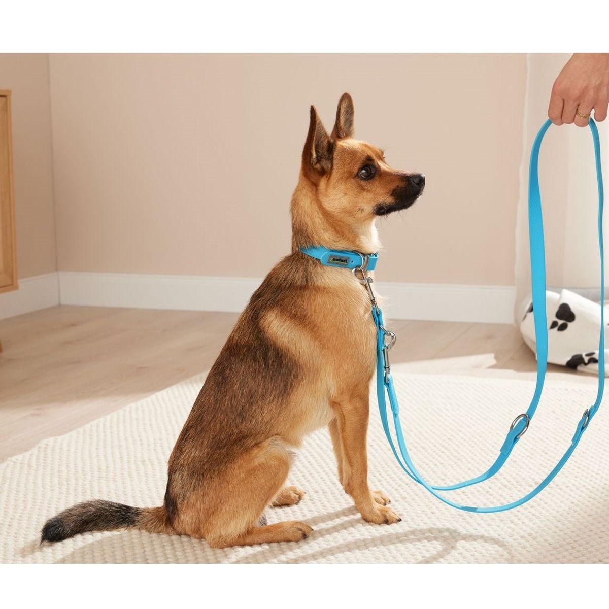 Collar con correa de silicona para perro Talla M, marca GENERICO - Foto Principal
