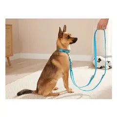 GENERICO - Collar con correa de silicona para perro Talla M