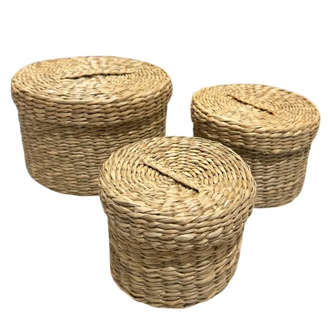 BRIC - Canasto Organizador Fibra Natural Con Tapa.