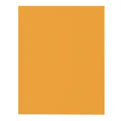 PROARTE - Carton Microcorrugado Pliego 50X70 Naranja