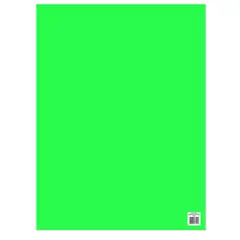 PROARTE - Cartulina Fluorescente 475X66 Verde 180Grs