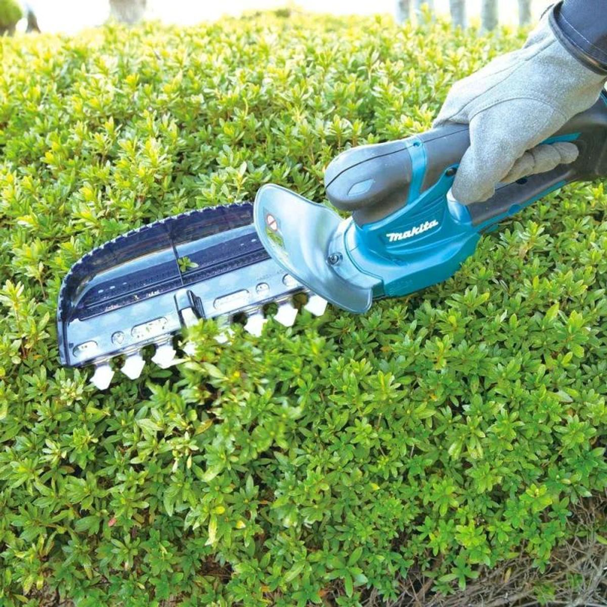 MAKITA - Cortasetos Inalámbrico 12v Makita Uh201dwy