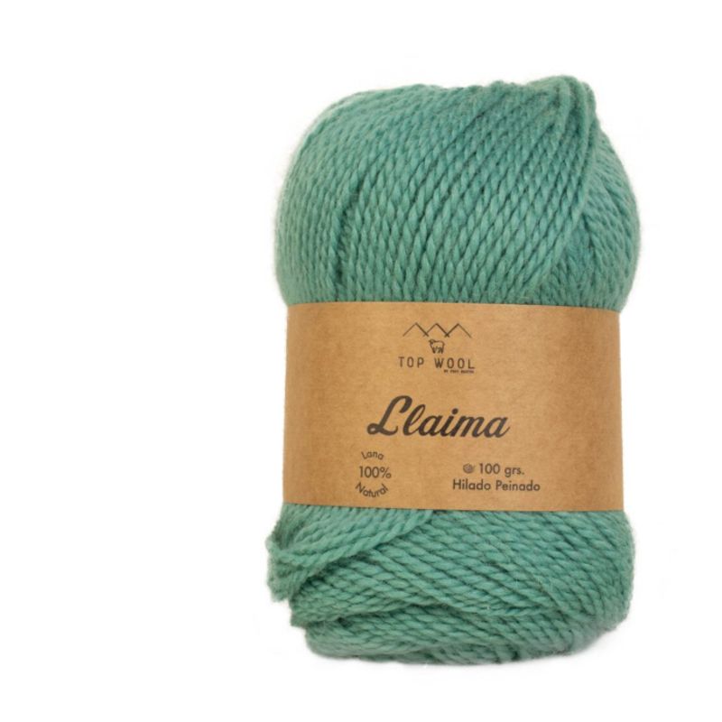GENERICO - Lana Llaima Topwool 100 grs - Menta