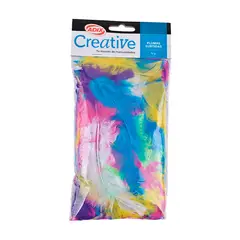 CREATIVE - Pluma Color Surtido 14g 038