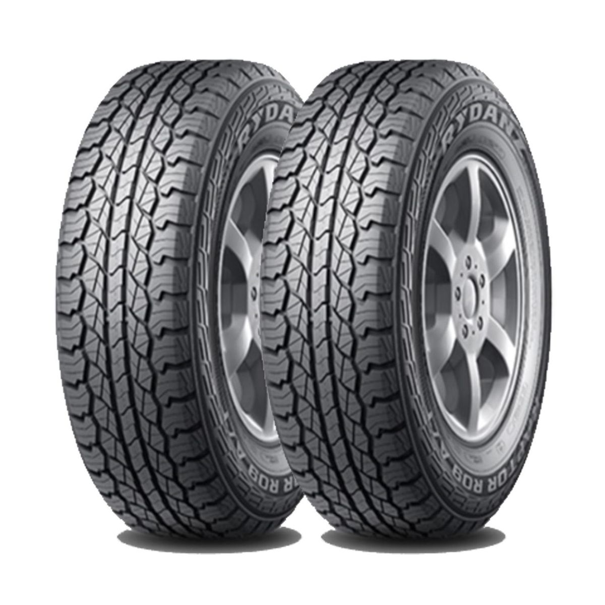 GENERICO - Set 2 Neumatico 215/70r16 Rydanz Raptor R09 At 100h