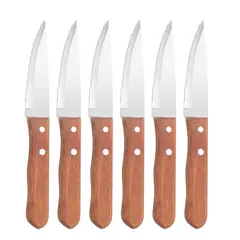 FONTINA - Set 6 cuchillos Parrilleros Carne