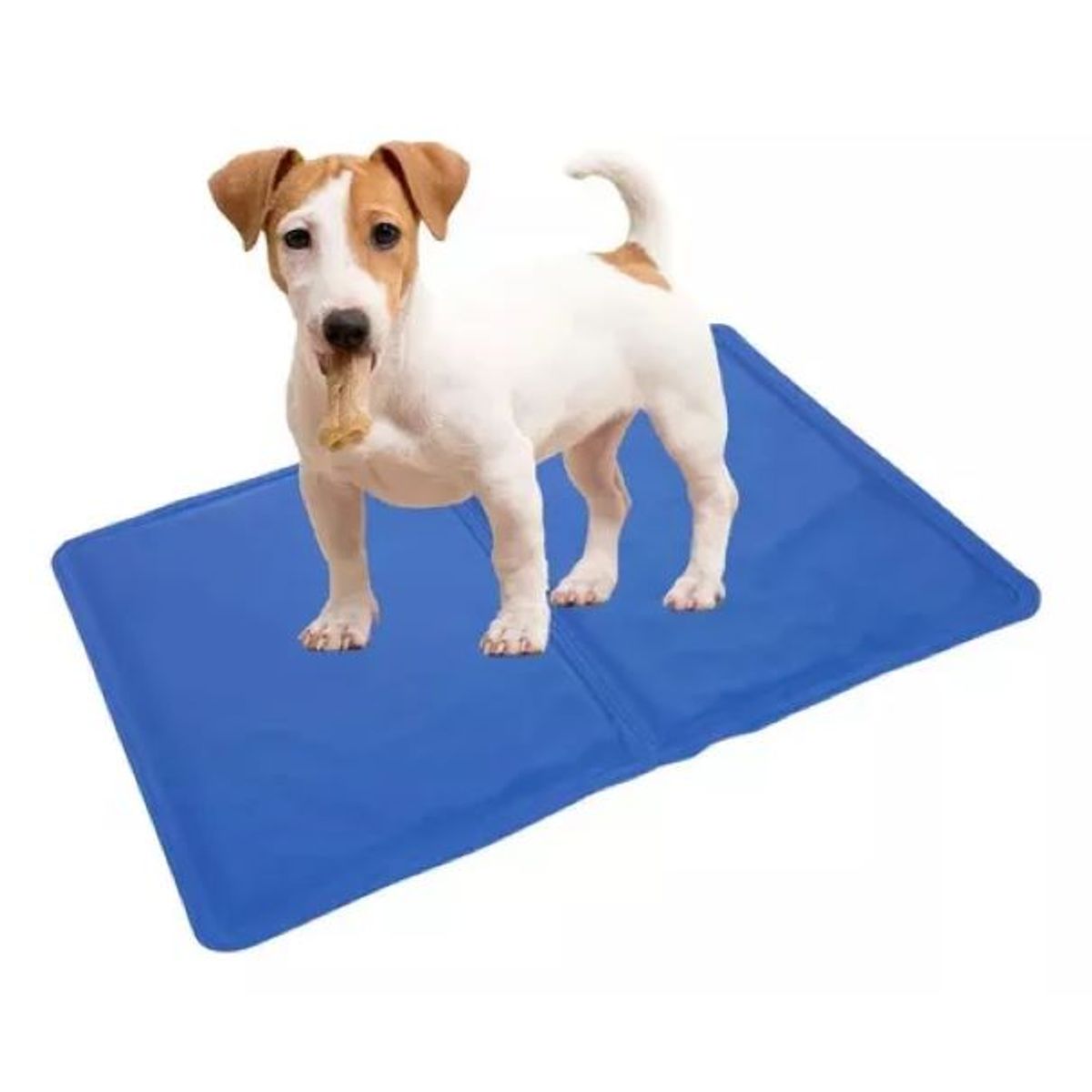 GENERICO - Manta Gel Colchón Cama Refrescante Mascotas Talla M 50x40 Cm