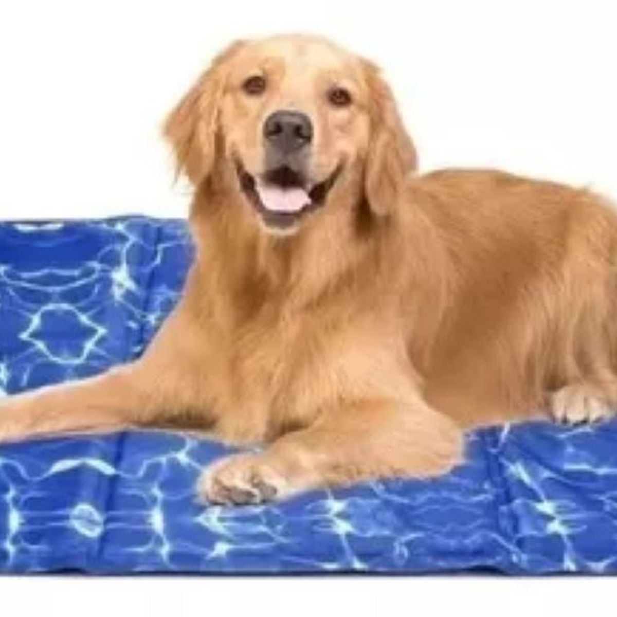 GENERICO - Manta De Gel Frio Refrescante Talla L 70x60cm Perros Gatos