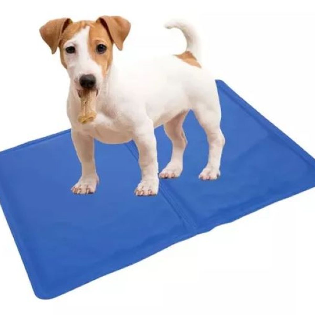 GENERICO - Manta  Cama Refrescante Mascotas Talla M 50x40 Cm