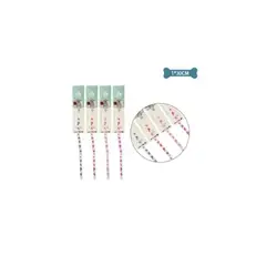 GENERICO - Collar Fluorescente Para Gato Color Aleatorio 1x30cm