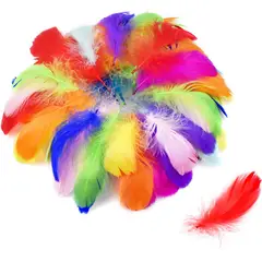 KUANGYE - 200 Piezas Plumas De Colores Surtidas Plumas de Ganso
