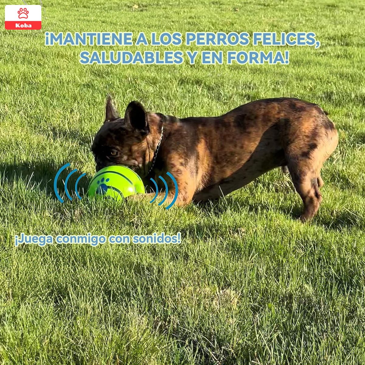 KOBA - Pelota Para Perro Juguete Interactivo Con Sonido Grande 14cm