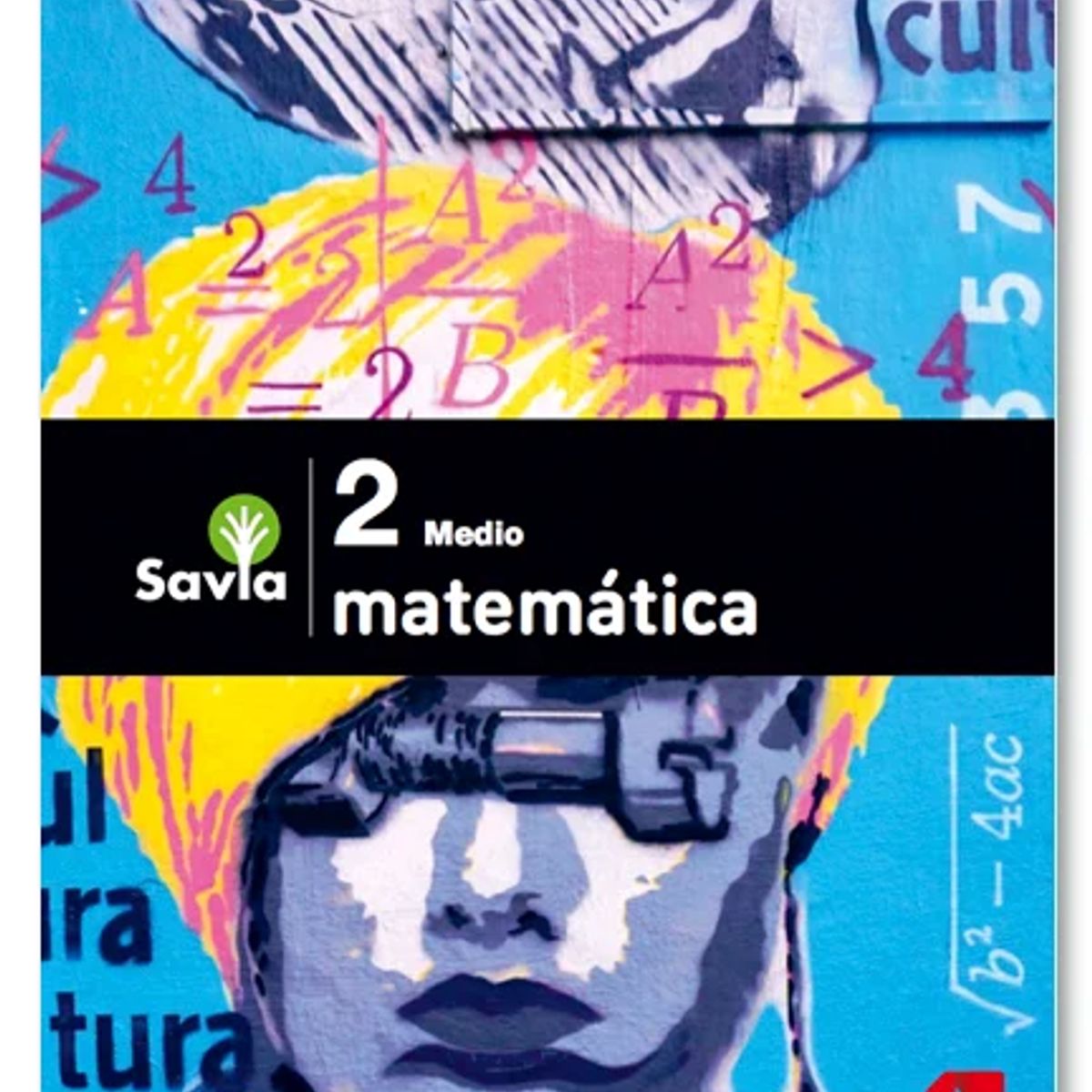 TOP10BOOKS - TEXTO Cuaderno De Actividades Matematica 2° Medio Savia