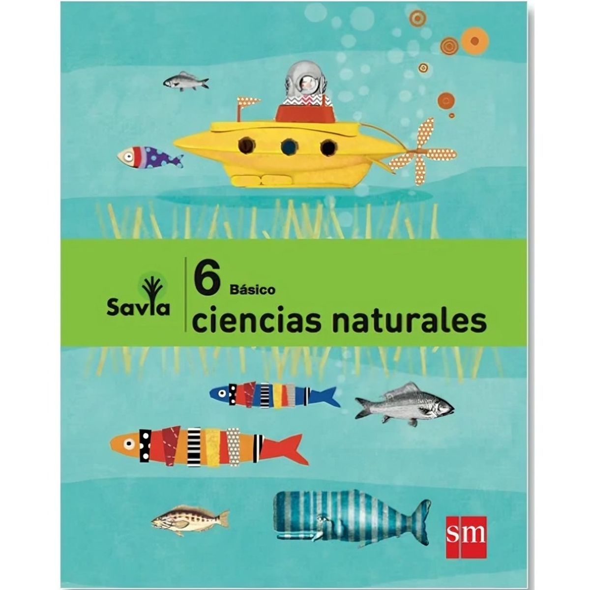 TOP10BOOKS - TEXTO Pack Ciencias Naturales 6° Savia - Ediciones SM