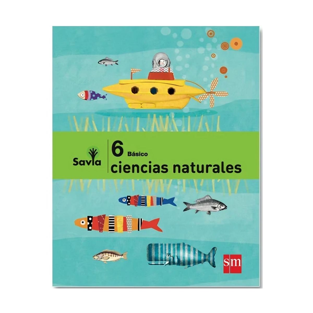TOP10BOOKS - TEXTO Pack Ciencias Naturales 6° Savia - Ediciones SM