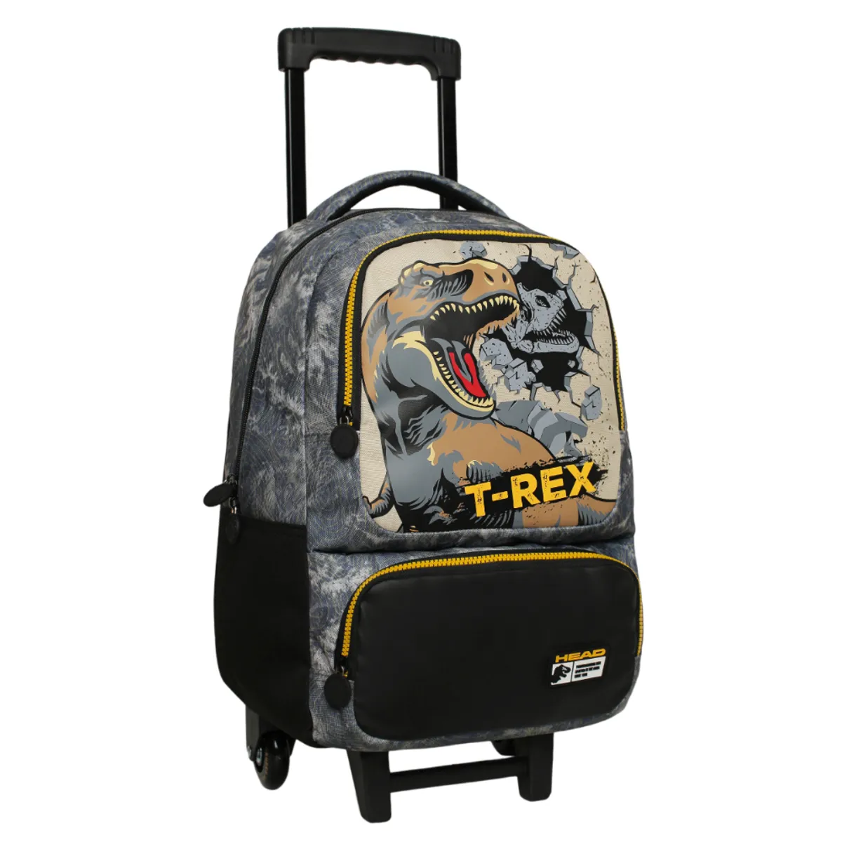 HEAD - Pack Bakan Escolar Hombre Dino Jurassic Gris Head