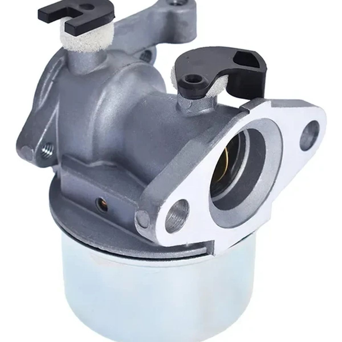 GENERICO - Carburador Briggs Stratton 799866 790845 799871 796707 79430