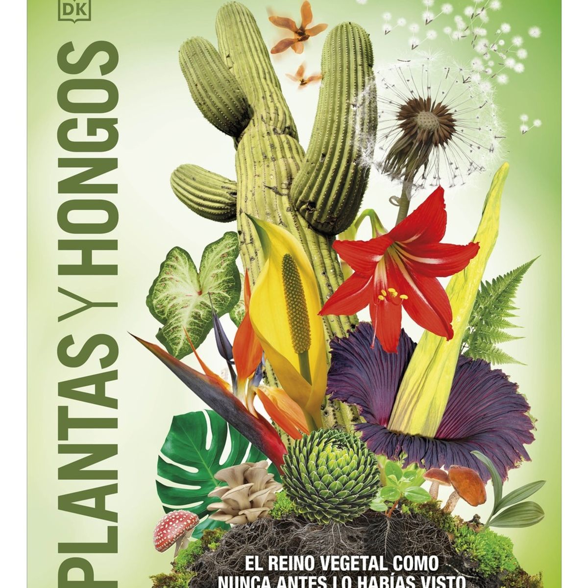 TOP10BOOKS - LIBRO Plantas Y Hongos (mundo 3d) - Plantas Y Hongos (Mundo 3D)